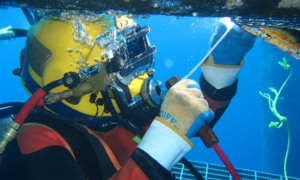 Một phần tuyến cáp quang biển quốc tế AAE - 1 được sửa xong