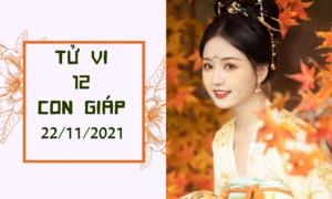 12 con giáp 22/11: Dần được quý nhân giúp, Ngọ chớ coi thường đối thủ