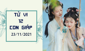 12 con giáp ngày 23/11: Mùi có thêm tiền thưởng, Mão gặp khó về tình cảm