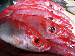 5 mẹo nhỏ để chọn mua cá biển đông lạnh: Người muốn đảm đang nhất định phải biết