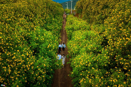 Du khách từ TP.HCM đến Đà Lạt không phải xét nghiệm COVID-19 