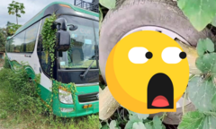 Xe khách bị cỏ dại ‘xâm chiếm’ khi vắng chủ, vật tìm thấy ở bánh xe mới bất ngờ