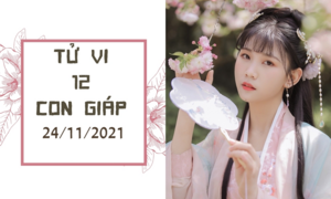 12 con giáp 24/11: Mão có thu nhập bất ngờ, Thìn hợp tác suôn sẻ