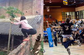 Vừa thương vừa không nhịn được cười với loạt khoảnh khắc xui xẻo của dân tình