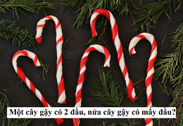 Một cây gậy có 2 đầu, nửa cây gậy có mấy đầu?