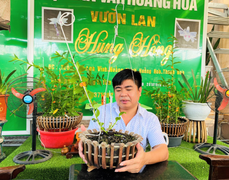 Từ đam mê cây cảnh đến ông chủ vườn lan nhiều người mơ ước