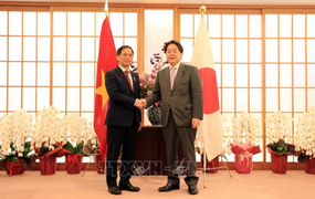 Bộ trưởng Bùi Thanh Sơn: Việt Nam coi Nhật Bản là đối tác chiến lược hàng đầu