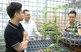 Gặp gỡ ông chủ trẻ 'đa-zi-năng' của vườn lan Bồ Đề