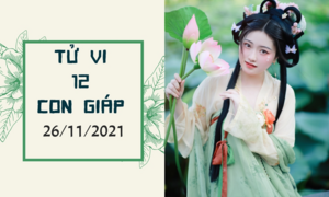 Tử vi 12 con giáp 26/11: Tuất phú quý gần kề, Mùi chớ hách dịch với khách hàng