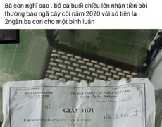 Hộ dân Quảng Nam nhận 2.000 đồng hỗ trợ thiệt hại do bão: Lãnh đạo xã lên tiếng