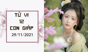 12 con giáp 29/11: Tỵ tình duyên cực xấu, Mùi phú quý vui vẻ