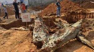 Đào trúng mộ cổ, cảnh tượng trước mắt khiến công nhân xây dựng run rẩy