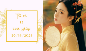 12 con giáp 30/11: Sửu thất vọng về người yêu, Thân may mắn tiền bạc