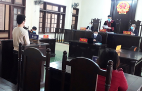 Lừa đảo mua bán lan đột biến, nam thanh niên ở Quảng Nam lĩnh án