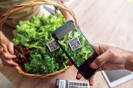 Mẹo dùng QR code: Truy xuất nguồn gốc thực phẩm sạch dễ dàng, tránh bị lừa