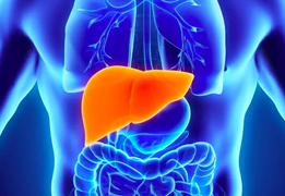 4 triệu chứng cảnh báo mức độc tố trong gan quá cao: Nên sớm thải độc bảo vệ gan