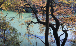 Ảnh: Mùa thu nước Bỉ quyến rũ đến mê hồn