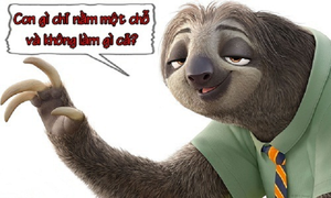 Con gì chỉ nằm một chỗ và không làm gì cả?