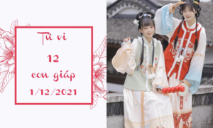 12 con giáp 1/12: Mão tiền bạc dễ kiếm, Hợi dè chừng thị phi