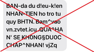 Kiến nghị có biện pháp cảnh báo người dân về tin nhắn lừa đảo nhận tiền hỗ trợ