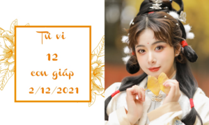 12 con giáp 2/12: Tý tình duyên lao dốc, Dậu được lòng quý nhân