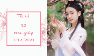 12 con giáp 3/12: Dần lên như diều gặp gió, Ngọ cẩn thận kẻ thứ ba