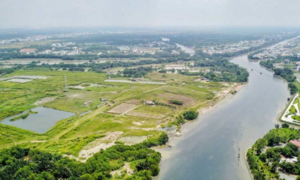 Không xử lý hình sự Tổng giám đốc Quốc Cường Gia Lai vụ mua rẻ 32ha đất công