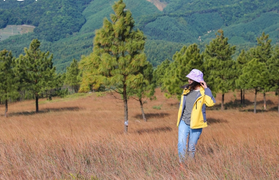 Ảnh: Thảo nguyên mùa cỏ cháy ở Quảng Ninh thơ mộng không thua Đà Lạt