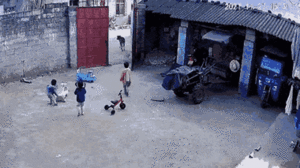 Video: Cậu bé 6 tuổi dũng cảm xua đuổi bò, bảo vệ em gái