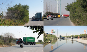 Nhiều người tử nạn trên tuyến đường cây dại mọc như rừng ở Hải Phòng