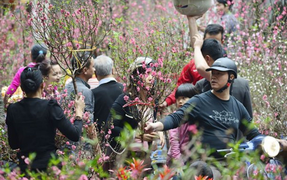 Bộ LĐ-TB&XH đề xuất nghỉ Tết Nguyên đán Nhâm Dần 9 ngày 