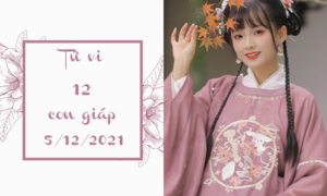 Tử vi 12 con giáp 5/12: Thân vượng phát dễ dàng, Sửu đừng để lỡ quý nhân