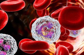 Dấu hiệu cảnh báo sớm của 13 bệnh ung thư phổ biến nhất: Nắm rõ để bảo vệ mình