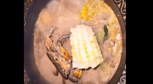 Cua ung dung ăn ngô trong nồi lẩu đang sôi