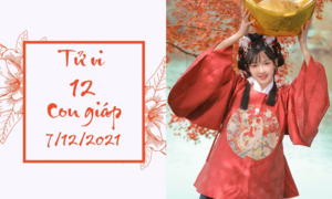 12 con giáp 7/12: Sửu có thành tựu sự nghiệp, Dần 'dính' vận đào hoa xấu