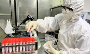 Ngày 7/12, cả nước thêm 13.840 ca COVID-19, Hà Nội tiếp tục tăng