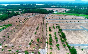 Đồng Nai xem xét truy tố những người phân lô, bán nền trái phép có tổ chức