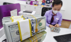 Giá USD cao nhất một năm