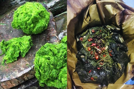 Về Phú Thọ nếm thử rêu đá của người Mường: Từ món cứu đói nay đã thành đặc sản