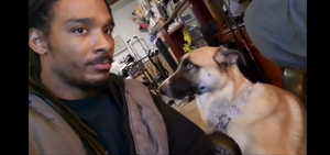 Cún cưng dỗi ra mặt khi bị chủ quát