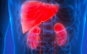 5 thói quen sai lầm 'ăn mòn' chức năng gan, thận: Nhiều người đang làm mỗi ngày