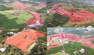 Tỉnh Lâm Đồng yêu cầu Bảo Lộc, Bảo Lâm báo cáo 15 nội dung liên quan nạn xẻ đồi