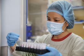 Bộ Y tế: Nguy cơ biến chủng Omicron xâm nhập và lây lan ở Việt Nam rất lớn