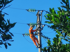 PC Điện lực Hà Tĩnh nỗ lực về đích cuối năm