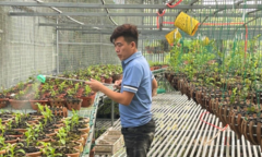 Ông chủ nhà vườn Linh Ngọc Hoa Lan và khát vọng lan tỏa giá trị ngành lan