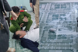 Chủ tịch nước yêu cầu làm rõ vụ giám đốc uống thuốc sâu tự tử tại toà ở Đà Nẵng