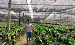 Mẹo kích hoa lan Ngọc Điểm ra hoa dịp Tết từ Hoa Lan Đồng Nai