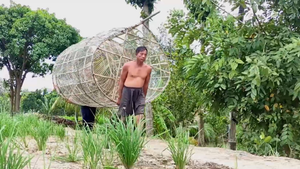 Video: Theo chân nông dân An Giang dùng lợp khổng lồ bắt cá trên sông