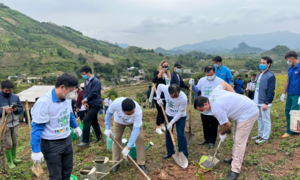 Đại sứ quán Israel tặng 23.000 cây phủ xanh cho tỉnh Hòa Bình