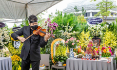 Bên mộ nhạc sĩ Phú Quang, Bùi Công Duy chơi violin bản 'Em ơi Hà Nội phố' 